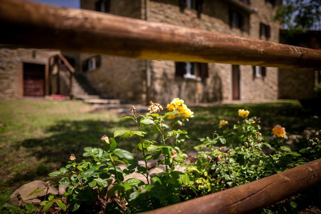 卡斯蒂里昂·菲奥伦蒂Borgo Al Teto La Vite公寓 外观 照片