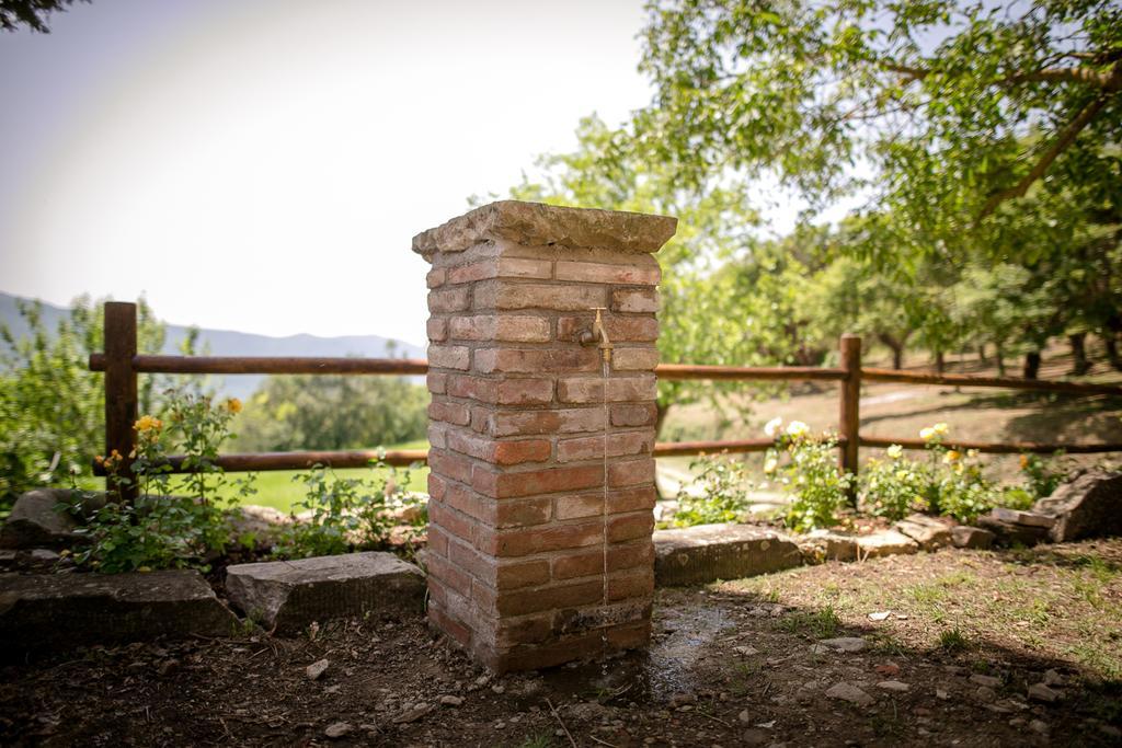 卡斯蒂里昂·菲奥伦蒂Borgo Al Teto La Vite公寓 外观 照片